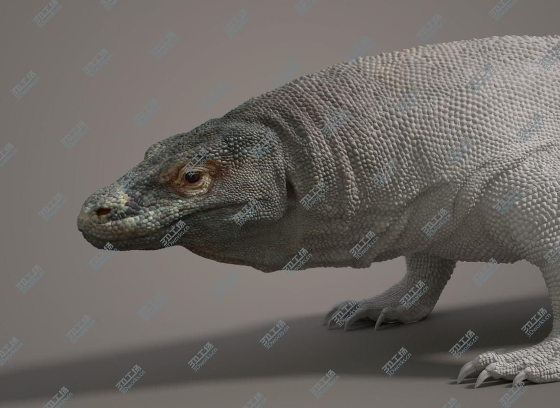 images/goods_img/20210319/Komodo Dragon/2.jpg